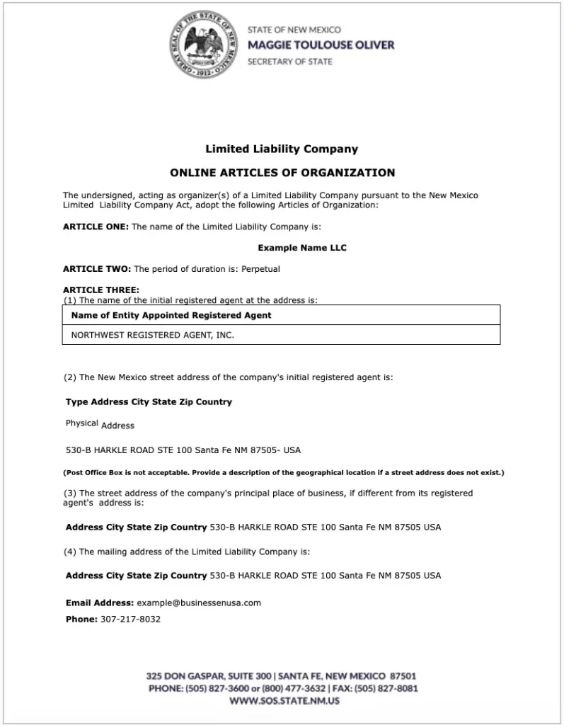 articulos de organizacion ejemplo