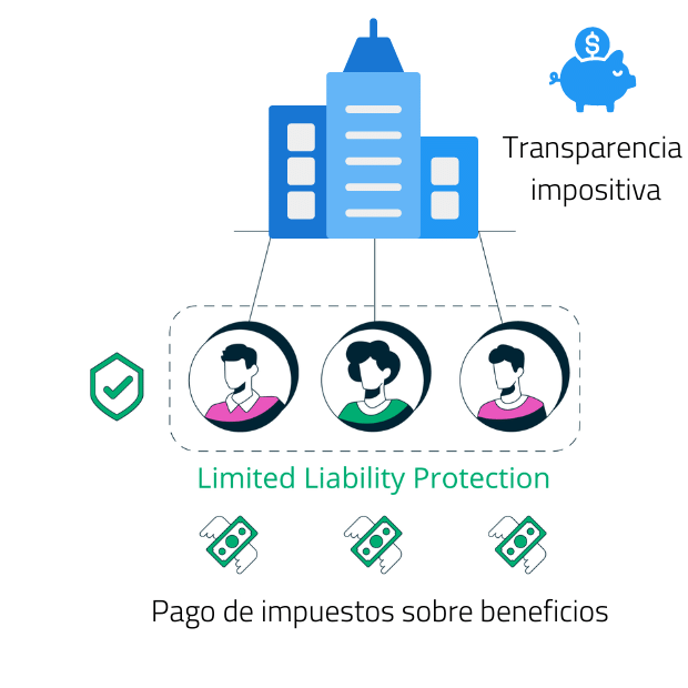 Pass Through Taxation